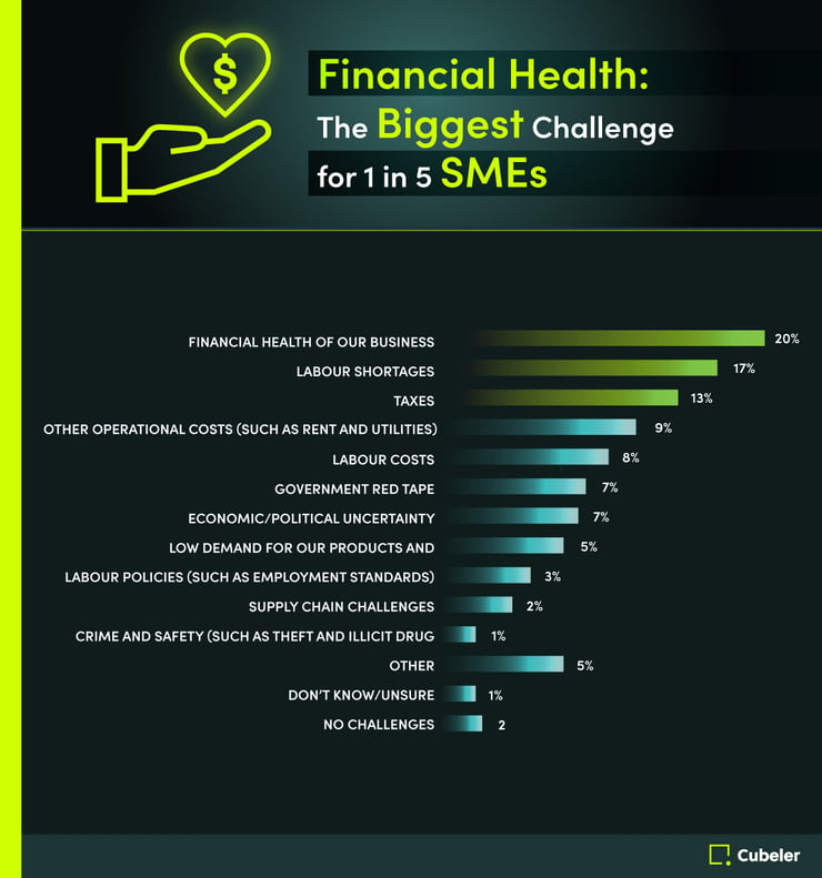 Financial Health: The biggest challenge for 1 in 5 SMEs